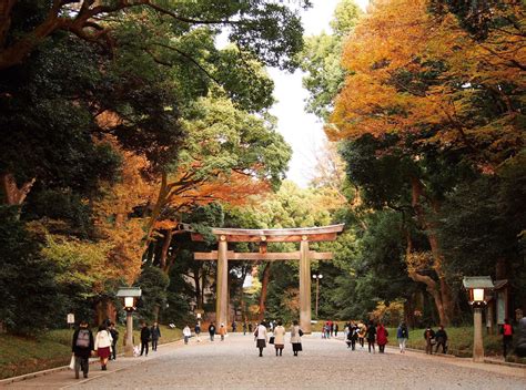 東京風水|最強！パワースポット巡りin東京｜日本交通東京観光 